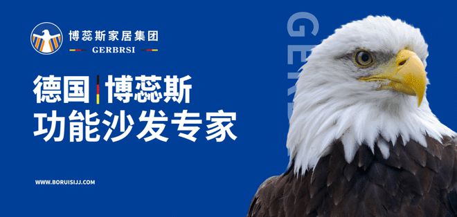 能沙发专家 大国隐形冠军OG真人平台博蕊斯——功(图1)