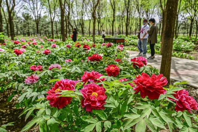 三大+书市+特色小镇打卡文旅新地标OG真人120小时玩转副中心-2：(图8)