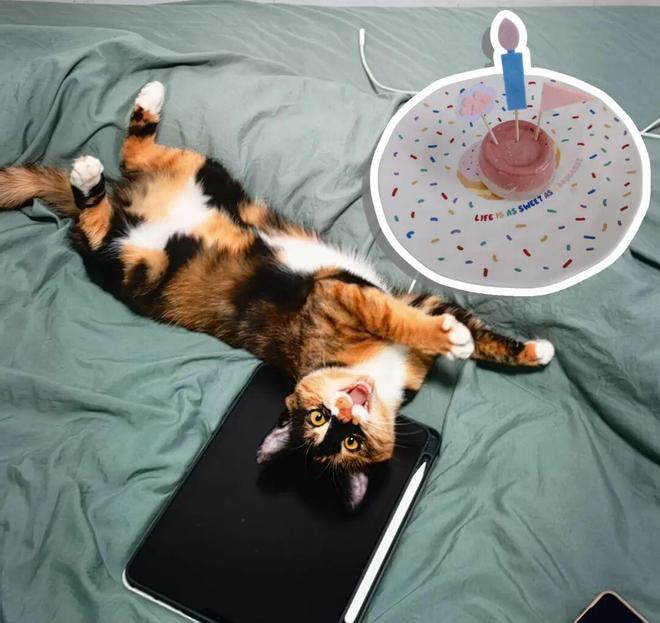 讲这么高兴的事儿了OG真人平台好久没(图4)